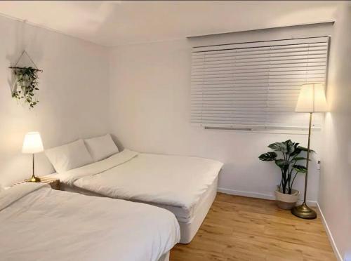 首尔Han Stay的白色的客房设有两张床和窗户。