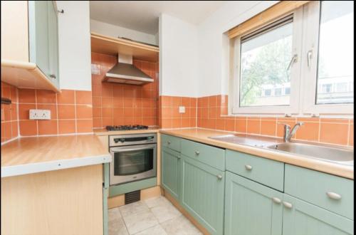 伦敦Hollowstone的厨房配有绿色橱柜、水槽和窗户