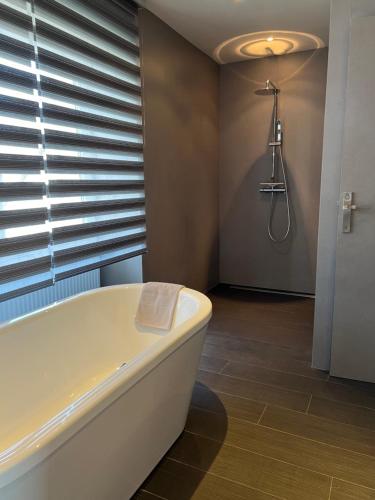 埃佩尔奈Le Clos d 'Aÿ的设有带浴缸和淋浴的浴室。
