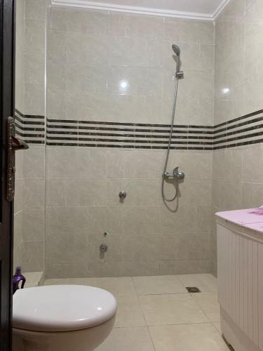 丹吉尔cozy appartement meublé的带淋浴、卫生间和盥洗盆的浴室