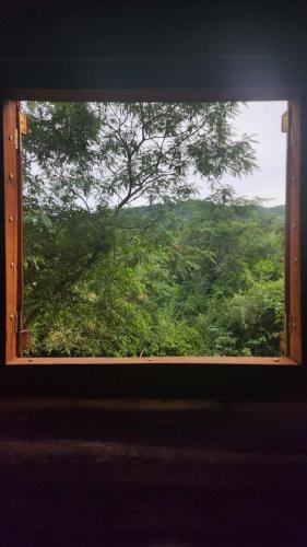 Coronel MoldesEl Paraíso Ecolodge的享有郁郁葱葱的绿色森林景致的窗户。