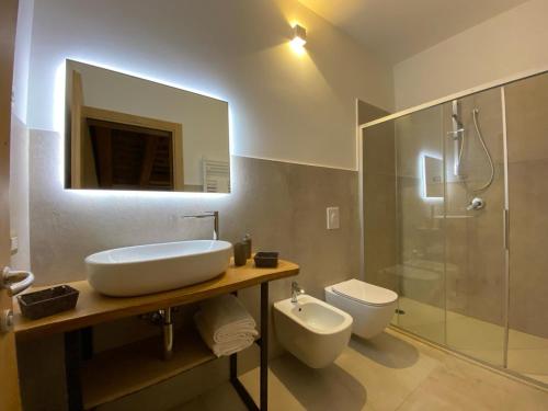 Cinto EuganeoAZIENDA AGRICOLA CA' LUNGA的一间带水槽、卫生间和淋浴的浴室
