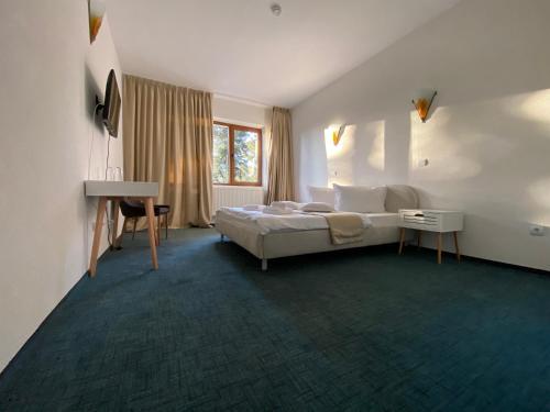 波亚纳布拉索夫Chalet Wiese的一间卧室配有一张床、一张书桌和一个窗户。