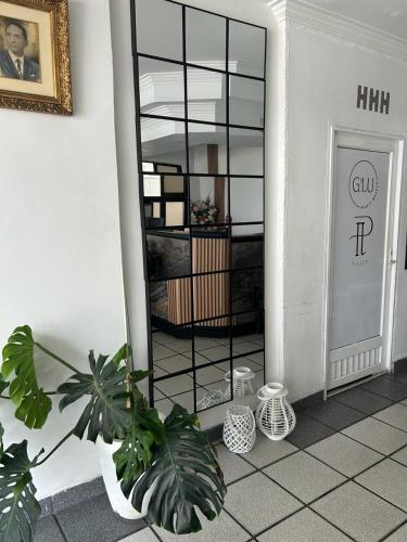 圣安德烈斯HOTEL HERNANDO HENRY的一间位于地板上并配有镜子和植物的房间