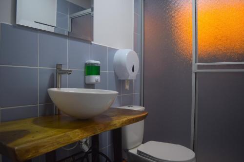 菲兰迪亚FILANDIA HOTEL的一间带碗水槽和卫生间的浴室