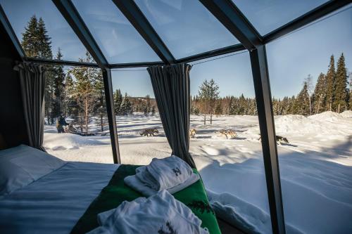 罗瓦涅米Nova Galaxy Village的雪地里带一张床的帐篷