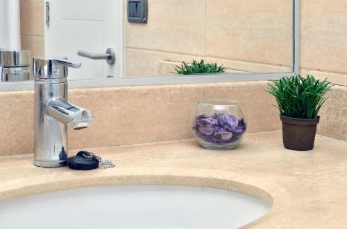 圣地亚哥Norus Providencia的水槽,带水龙头和紫色花