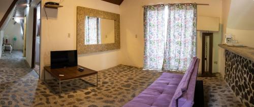 埃尔巴列德安通Refugio Cariguana的客厅配有紫色沙发和电视