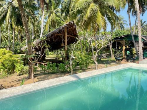 卡尔皮蒂耶Wind Blend Kite Resort的一个带游泳池和棕榈树的度假村
