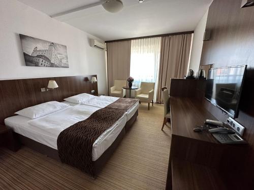 布拉迪斯拉发布拉迪斯拉发酒店 的配有一张床和一台平面电视的酒店客房
