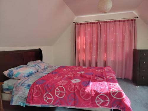 夏洛特顿Amy's house的一间卧室配有一张床和粉红色窗帘