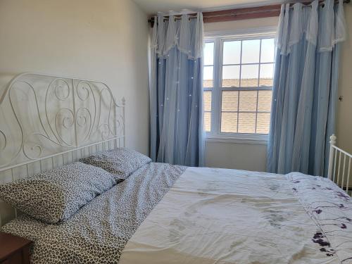 夏洛特顿Amy's house的一间卧室配有一张带蓝色窗帘的大床