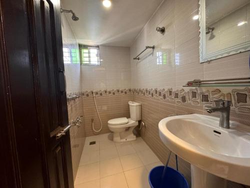 巴纳内拉斯stunning apartment的一间带卫生间和水槽的浴室