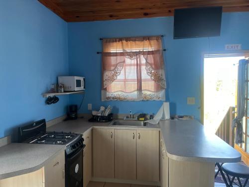 SeminetsShorrs Villas的蓝色的厨房配有炉灶和水槽