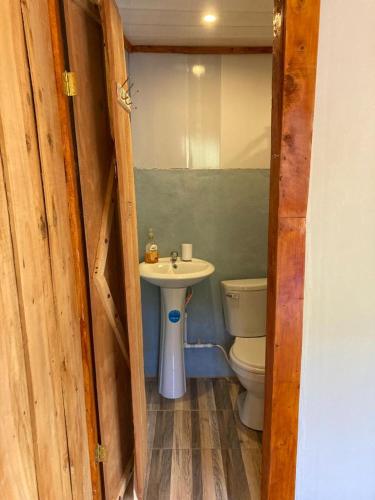 CopeyMario´s Lodge Providencia的一间带卫生间和水槽的浴室