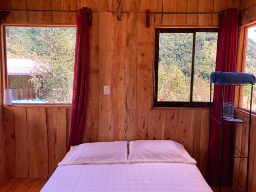 CopeyMario´s Lodge Providencia的木间内的一张床位,设有两个窗户