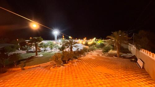 Al LaqīţahThenoblejewel的棕榈树和灯光公园的夜景
