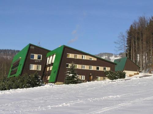 济泽罗河畔帕塞基Hotel Albert的前方大雪楼