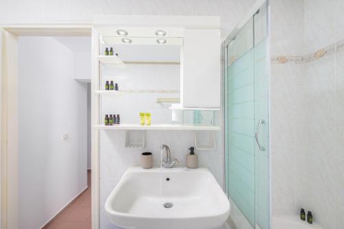 赫索尼索斯阿里斯一室公寓的白色的浴室设有水槽和淋浴。