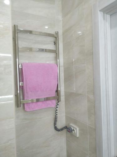 基辅Apartment Kiev Studio with city view的墙上挂着粉红色毛巾的淋浴