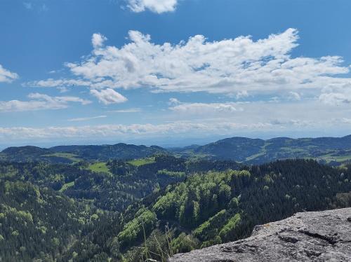 UnterweissenbachBiohof Bernhard的从山顶的树木上欣赏美景