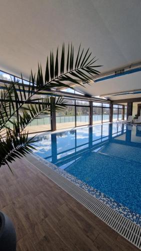 奥格尼亚诺沃Waterside SPA Hotel的一座棕榈树游泳池