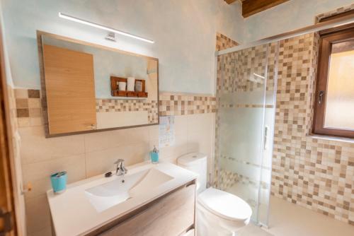 FuentemizarraCasa Entre Hoces810paxJardín y barbacoa的一间带水槽、卫生间和淋浴的浴室