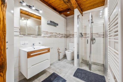 利托梅日采Penzion Pršutérie®的带淋浴、盥洗盆和卫生间的浴室
