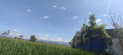 DebichaurGadyauli Village的蓝 ⁇ 旁高大的草地