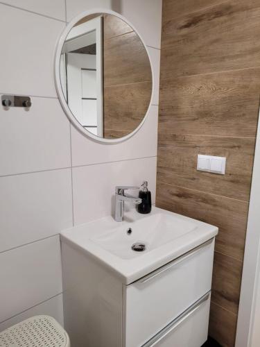 斯塔洛瓦沃拉AXO-HOSTELS的浴室设有白色水槽和镜子