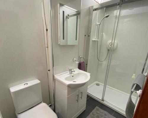 LlanllwchaiarnOld Stable Cottage Nanternis的浴室配有卫生间、盥洗盆和淋浴。