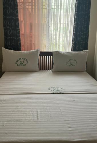 达累斯萨拉姆G & S Executive Lodge的一张带两个枕头的床和窗户