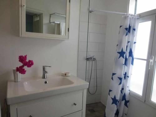 丰沙尔Barreirinha I-Near Cidade Velha, Vista de Ocean的浴室设有水槽和蓝色星光淋浴帘