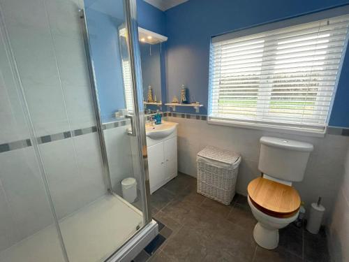 LlanllwchaiarnCaerhafod Nanternis的带淋浴、卫生间和盥洗盆的浴室