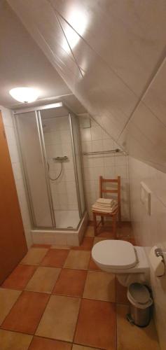 SchadelebenPension Robinienhof的带淋浴、卫生间和椅子的浴室