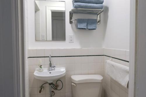 布鲁克林Garden Guest Suite的一间带卫生间、水槽和镜子的浴室