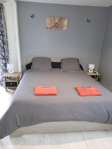 Maison au bord du canal的一间卧室配有一张带两个橙色毛巾的床