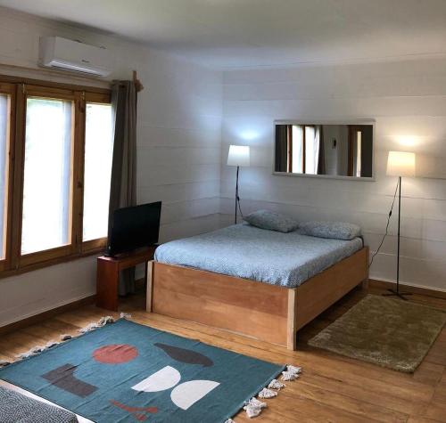 Santo AntónioKingfisher- Principe的一间卧室配有一张床、一台电视和一张地毯。