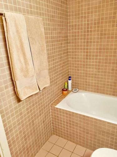 日内瓦Espacioso apartamento的带浴缸和毛巾的浴室