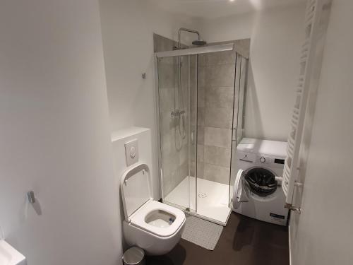 莱什诺Apartament Number 2 NOVA WOZOWNIA Free Parking的白色的浴室设有卫生间和淋浴。