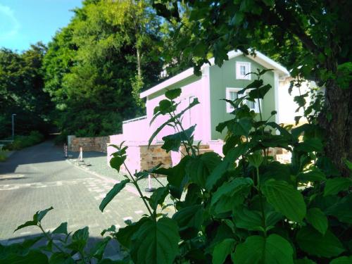 巴特马林贝格Ferienhaus in Bad Marienberg Westerwald mit Terrasse und Grill的街道旁的粉红色和白色建筑
