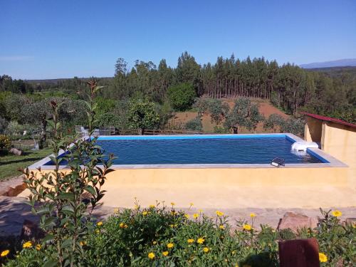 CoveloCasa Thocamalu's的庭院中间的游泳池