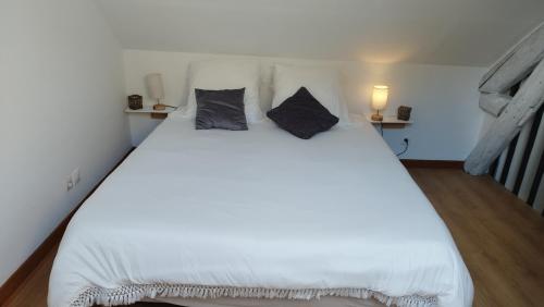 ForgesLe Bangor Coon的卧室配有一张带两个枕头的大白色床