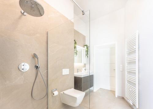卢森堡Stockholm Style Designer in Limpertsberg ID8的带淋浴、卫生间和盥洗盆的浴室