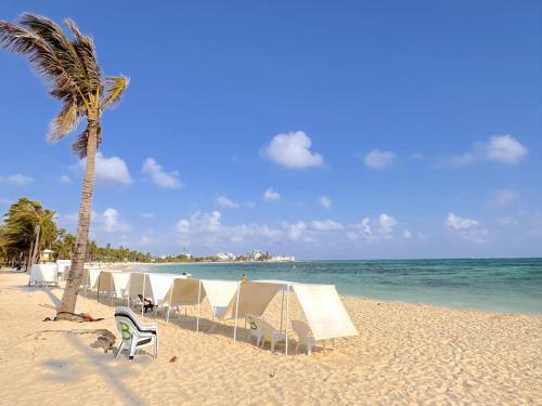 圣安德烈斯Hotel Grand Caribe的海滩上,有椅子,棕榈树和大海