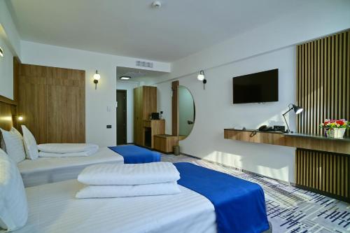 布加勒斯特Hotel Sir Royal的一间酒店客房,设有两张床和电视