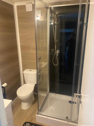 拉纳肯Vakantie Boshuisje Meibloempje的一间带卫生间和玻璃淋浴间的浴室