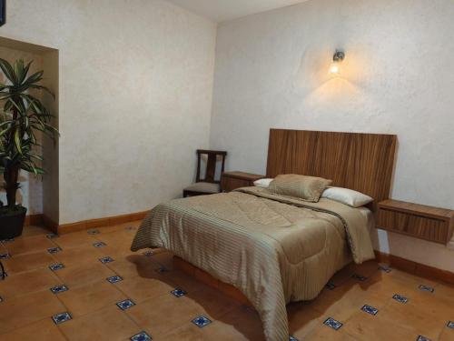 阿瓜斯卡连特斯POSADA GUADALUPE Habitación sencilla #116的一间卧室配有一张床和盆栽植物