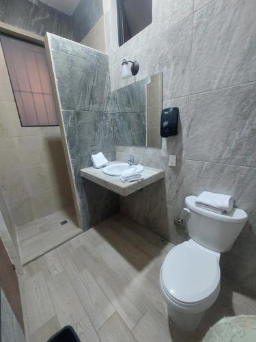 阿瓜斯卡连特斯POSADA GUADALUPE Habitación sencilla #116的一间带卫生间和水槽的浴室