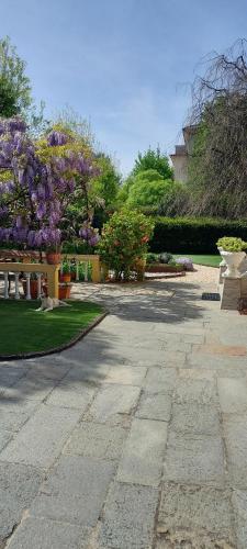 克雷莫纳Villa Lina的花园内带紫色花的石头走道